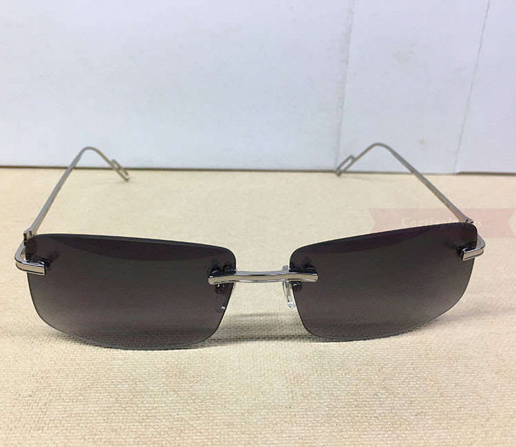 Cartier Sunglasses EyeglassesClassic C Decor Metal Pilot Rimless ...