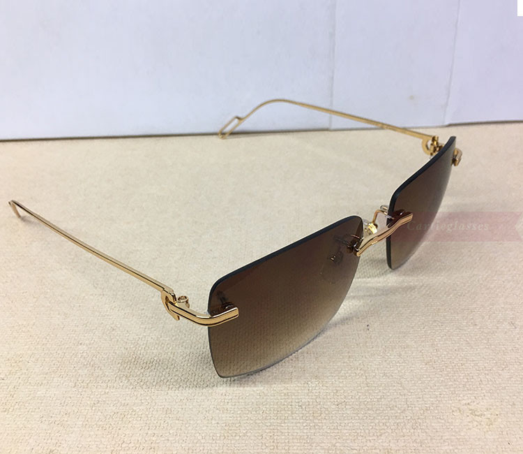 Cartier Sunglasses Eyeglasses Classic C Decor Metal Rimless CT01131 ...