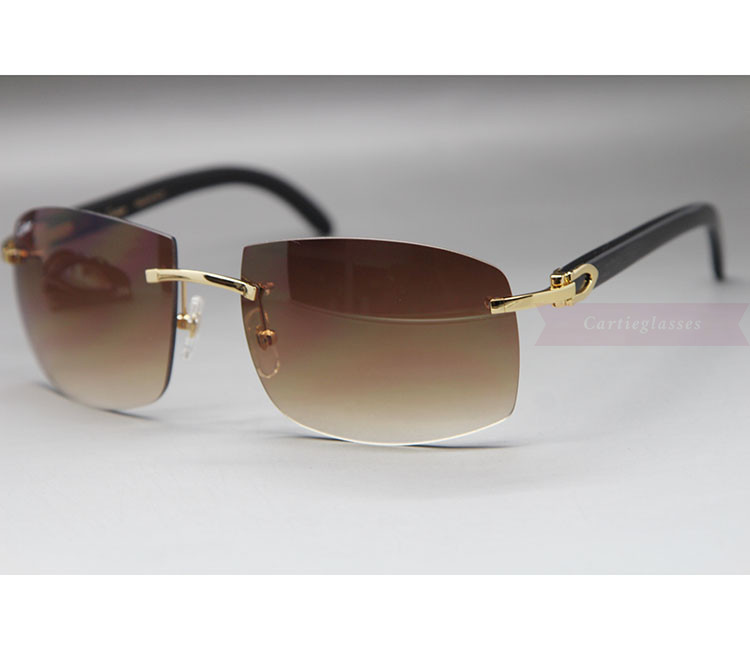 Cartier Sunglasses Horn Big Lenses Classic Rimless CT3524012 ...